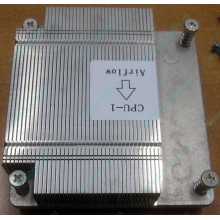 Радиатор CPU CX2WM для Dell PowerEdge C1100 CN-0CX2WM CPU Cooling Heatsink (Новороссийск)