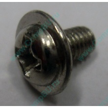 Компьютерный винт "малый" PW-M3x6mm (Новороссийск)