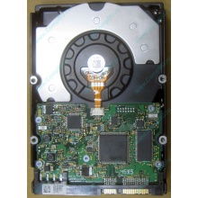 HDD Sun 500G 500Gb в Новороссийске, FRU 540-7889-01 в Новороссийске, BASE 390-0383-04 в Новороссийске, AssyID 0069FMT-1010 в Новороссийске, HUA7250SBSUN500G (Новороссийск)