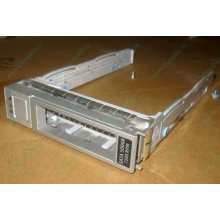 Салазки Sun 350-1386-04 в Новороссийске, 330-5120-04 1 для HDD (Новороссийск)
