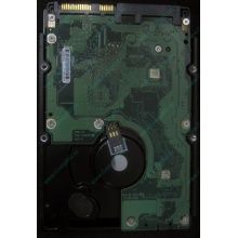 HP 454228-001 146Gb 15k SAS HDD (Новороссийск)