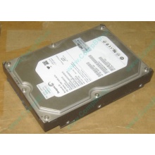 HP 250G 7.2k 432337-001/ 399699-001 / 397377-004 SATA HDD (Новороссийск)