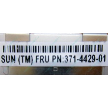 Серверная память SUN (FRU PN 371-4429-01) 4096Mb (4Gb) DDR3 ECC в Новороссийске, память для сервера SUN FRU P/N 371-4429-01 (Новороссийск)