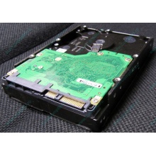 Жесткий диск 600Gb 15k Dell 9FN066-008 6G SAS ( Seagate Cheetach ST3600057SS 15K.7) - Новороссийск