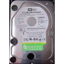 Жесткий диск 500Gb Western Digital WD5000AVVS 5400 rpm SATA (Новороссийск)