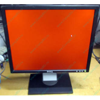 Dell E197F P в Новороссийске, монитор 19" TFT Dell E197FPb (Новороссийск)