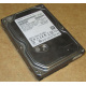 HDD 500Gb Hitachi HDS721050DLE630 донор на запчасти (Новороссийск)