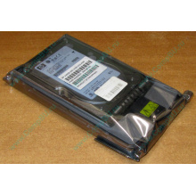 Жёсткий диск 146.8Gb HP 365695-008 404708-001 BD14689BB9 256716-B22 MAW3147NC 10000 rpm Ultra320 Wide SCSI купить в Новороссийске, цена (Новороссийск).