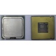 Процессор Intel Celeron D 336 (2.8GHz /256kb /533MHz) SL98W s.775 (Новороссийск)