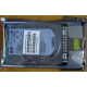 HDD 146.8Gb HP 360205-022 404708-001 404670-002 (Новороссийск)