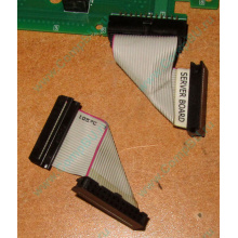 6017B0045701 Шлейф 24 pin для Intel C74974-401 T0043401-B01 корпуса SR2400 (Новороссийск)