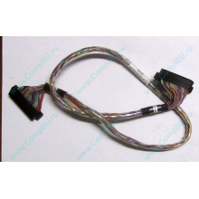 6017B0045301 в Новороссийске, 68pin SCSI кабель 26.5" / 57cm для корзины HDD Intel SR2400 (Новороссийск)