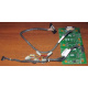 Корзина 59P5159 24P2578 IBM X225 / X226 / X235 / X255 / X266 xSeries servers FRU59P5159 FRU24P2578 (Новороссийск)