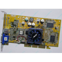 Видеокарта 64Mb nVidia GeForce4 MX440 AGP (Asus V8170DDR) - Новороссийск