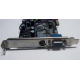 NV18-3710D 64Mb nVidia GeForce4 MX440 AGP 8x (Новороссийск)