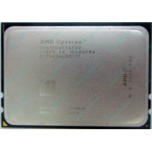 AMD Opteron 6128 OS6128WKT8EGO (Новороссийск)