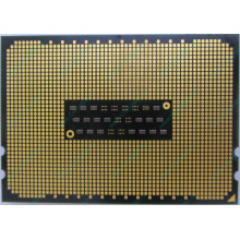 AMD Opteron 6128 OS6128WKT8EGO (Новороссийск)