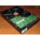Жесткий диск 500Gb HP 634605-003 613208-001 WD WD5000AAKX 7.2k SATA (Новороссийск)