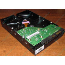 Жесткий диск 500Gb WD WD5000AAKX HP 634605-003 613208-001 7.2k SATA (Новороссийск)